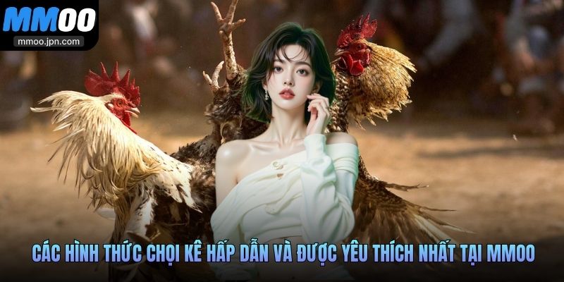 Các hình thức chọi kê hấp dẫn và được yêu thích nhất tại MMOO