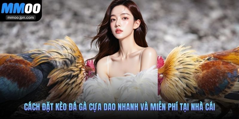 Cách đặt kèo đá gà cựa dao nhanh và miễn phí tại nhà cái