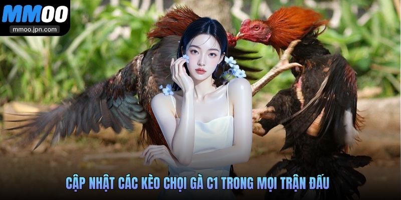 Cập nhật các kèo chọi gà C1 trong mọi trận đấu