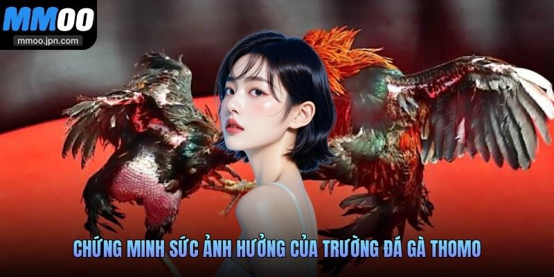 Chứng minh sức ảnh hưởng của trường đá gà Thomo