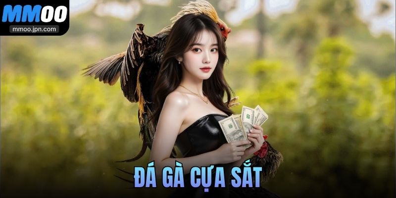Đá Gà Cựa Sắt - Một Đòn Quyết Định, Chiến Thắng Tức Thì 7 Đá Gà Cựa Sắt