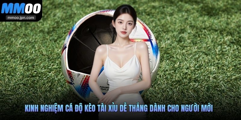 Kinh nghiệm cá độ kèo Tài Xỉu dễ thắng dành cho người mới