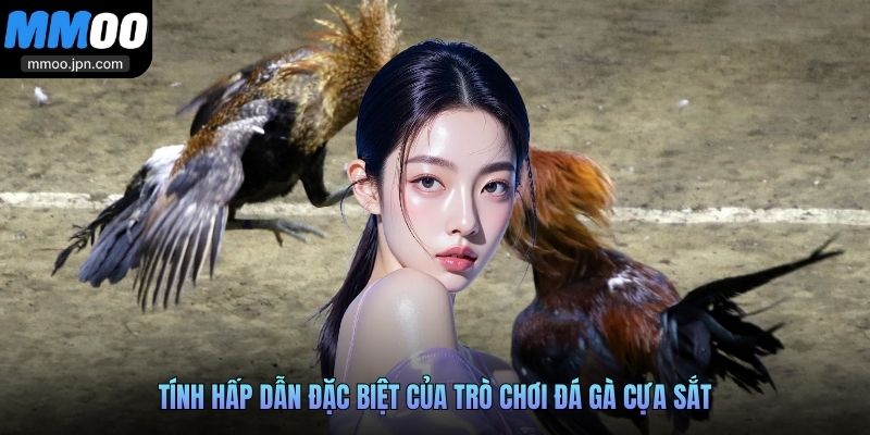 Tính hấp dẫn đặc biệt của trò chơi đá gà cựa sắt