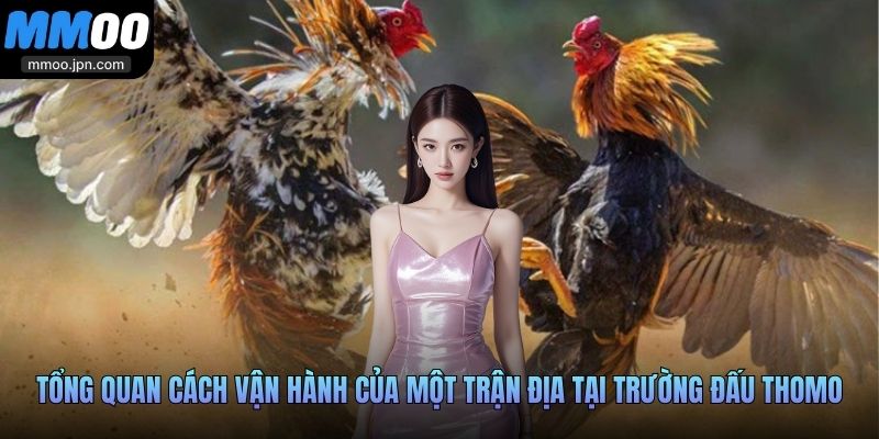 Tổng quan cách vận hành của một trận địa tại trường đấu Thomo